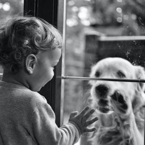 image d'un enfant derrière une vitre tendant sa main à un chien de l'autre côté illustrant la confiance en soi l'autonomie et le positionnement affirmé en thérapie assistée par l'animal zoothérapie