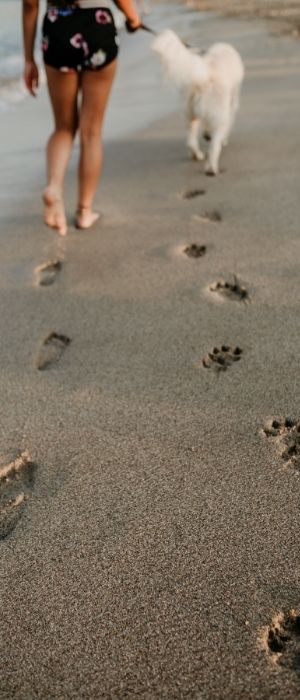 femme et chien laissant des traces de pas psychologie psychothérapie thérapie assistée par l'animal