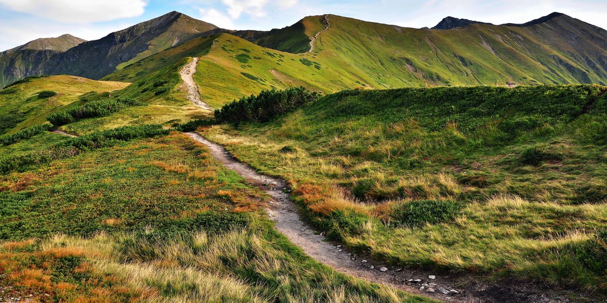 chemin de montagne